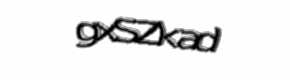 Security check image, please type the characters shown