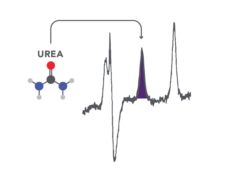 Diagram showing uera detection in sample