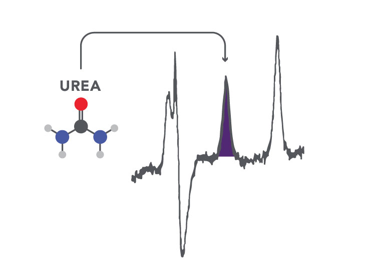 Schema die urea detectie in een monster laat zien