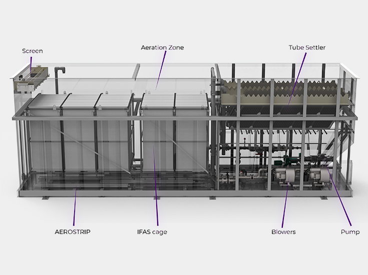 Diagram describing IFAS Process