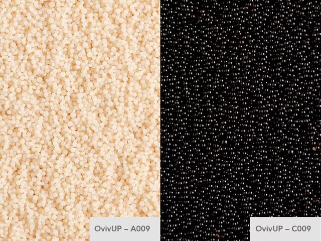 OvivUP A009和C009树脂用于可再生混床或单床离子交换器