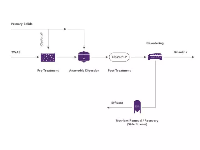 Chart explaing how sludge is fed through the anaerobic digester, EloVac-P and Dewatering system.