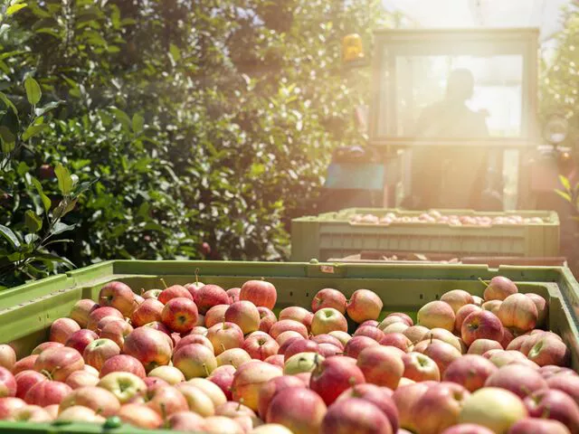 Alimentation et boissons