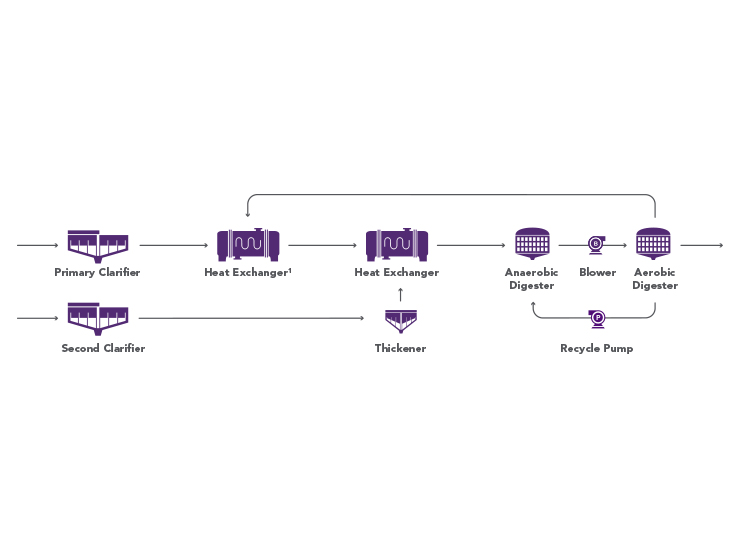 Typical DigestivorePAD process flow diagram