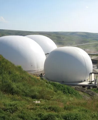 Biosolids Management